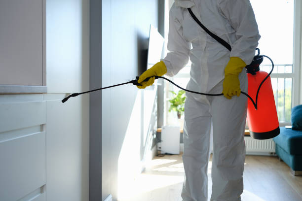 Mold Testing and Removal in Tipton, IN